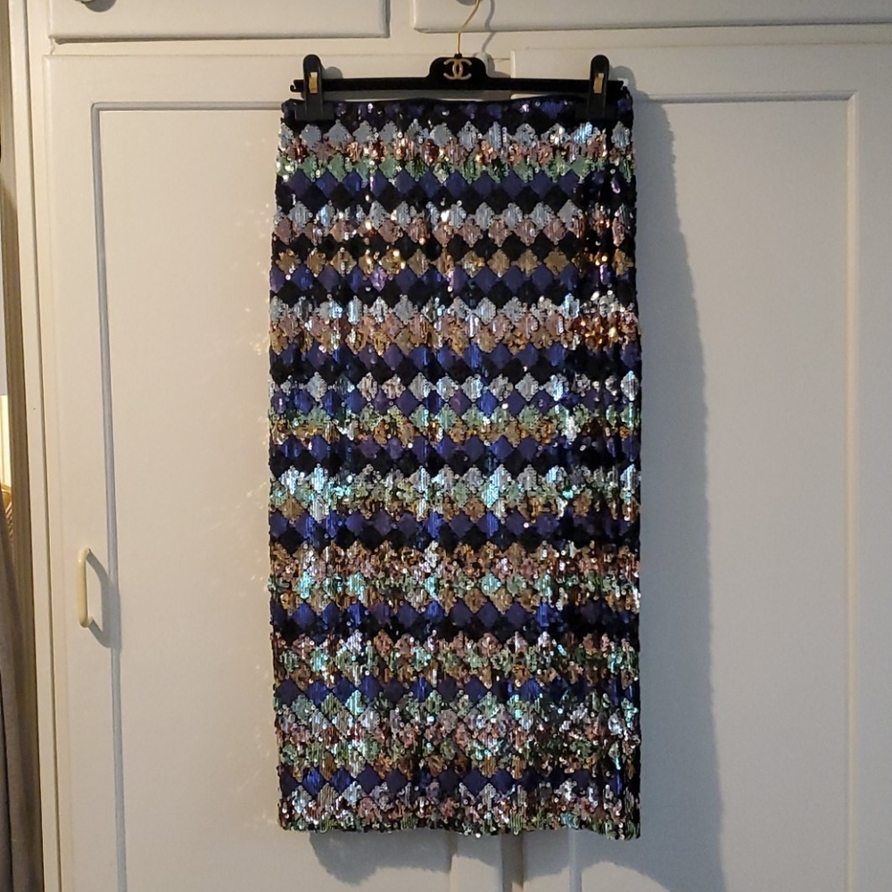 Zara sequence skirt.  Worn once